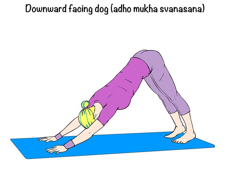 Illustration of yoga pose downward facing dog