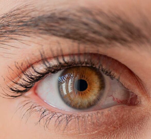 The Amazing Eye: The Mechanics Of Vision