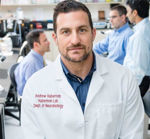 2018 Glaucoma Research Update: Dr. Andrew Huberman’S Laboratory