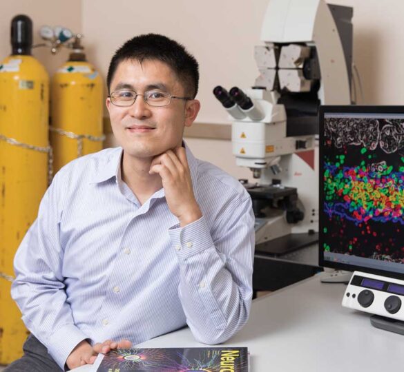 Focus On Dr. Xin Duan’S Laboratory: Restoring Vision