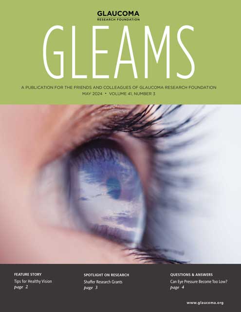 Gleams cover