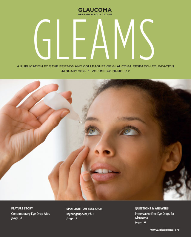 Gleams cover