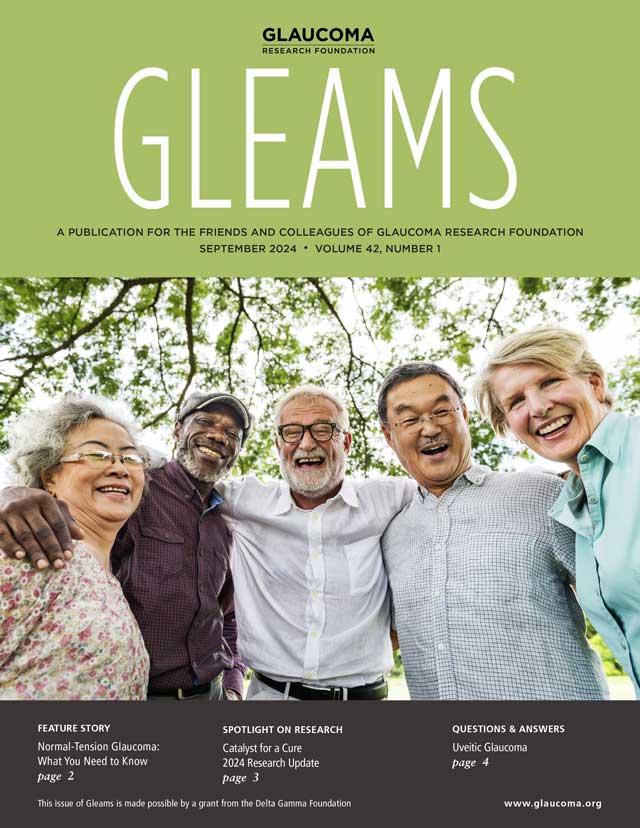 Gleams Cover