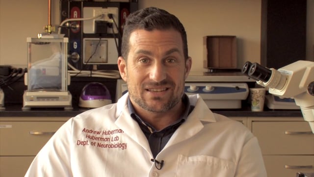 2018 Glaucoma Research Update: Andrew Huberman Lab, Part 1