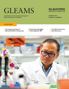 Gleams Cover