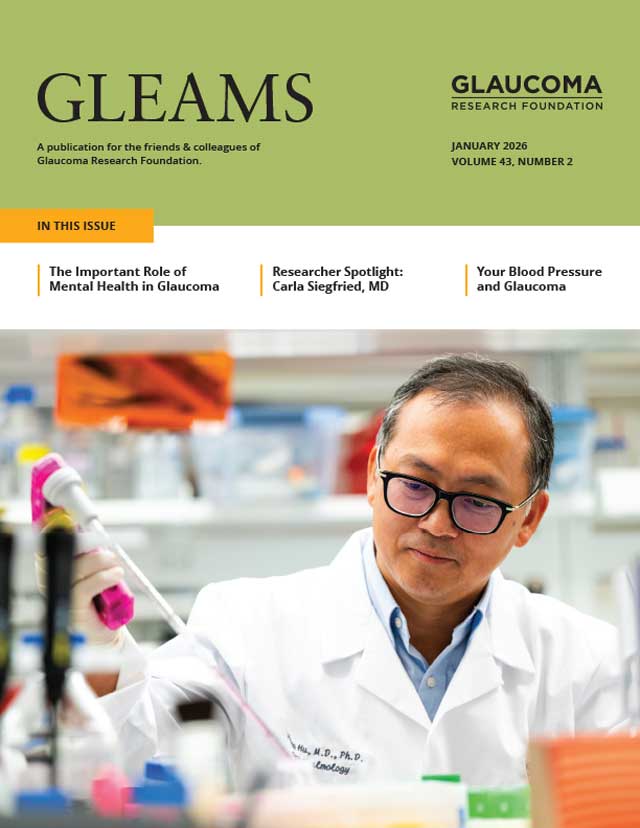 Gleams Cover Image