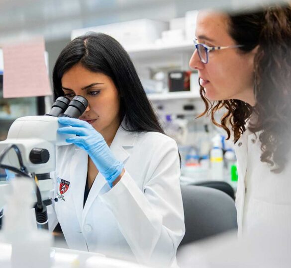 Glaucoma Cure Research: Progress And New Hope